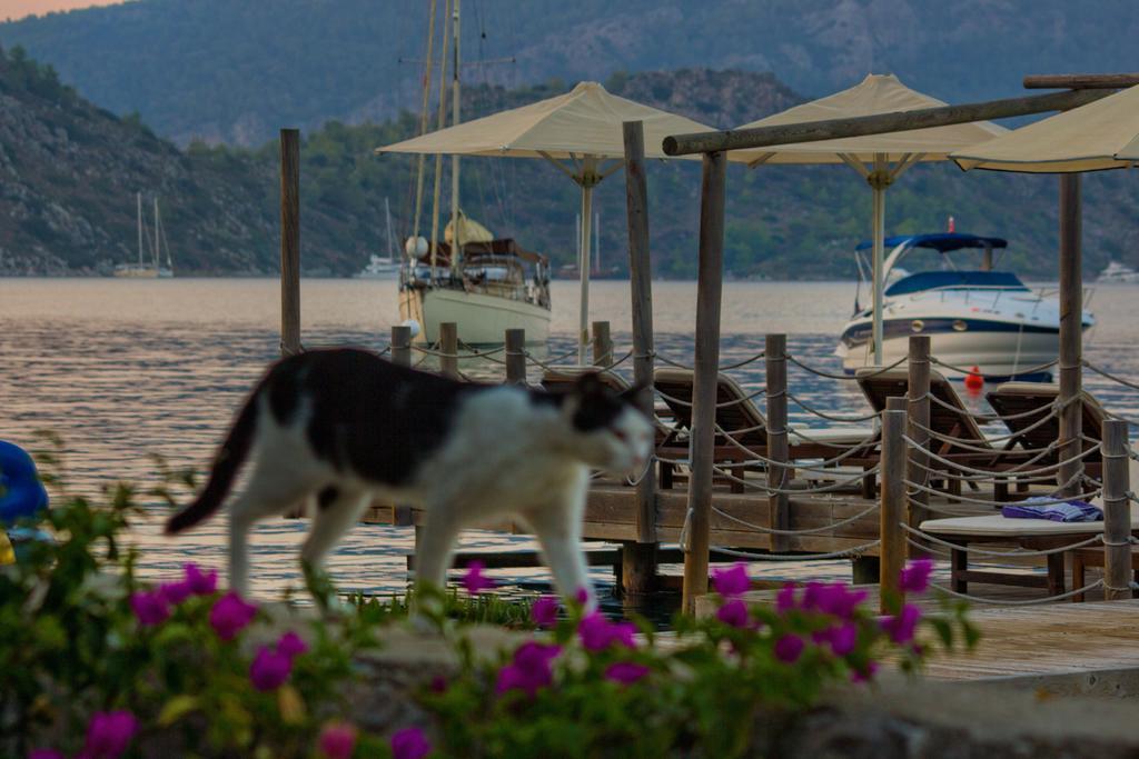 Losta Sahil Evi - Adults Only +12 Selimiye  Bagian luar foto